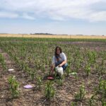 Agrotóxicos, ciencia y salud: el debate sobre la investigación pública en el INTA