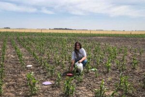 Agrotóxicos, ciencia y salud: el debate sobre la investigación pública en el INTA
