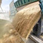 Los alimentos alcanzan su precio más alto en casi cuatro años