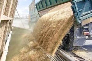 Los alimentos alcanzan su precio más alto en casi cuatro años